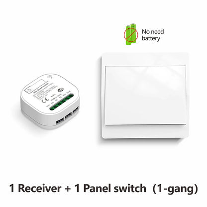 Tuya Smart life WiFi and 433MHz Light Switch,Wall Panel Switch No Need Battery,110V 220V 16A Mini Module, for Alexa Google Home
