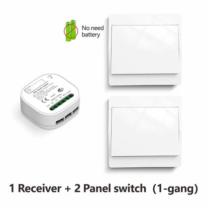 Tuya Smart life WiFi and 433MHz Light Switch,Wall Panel Switch No Need Battery,110V 220V 16A Mini Module, for Alexa Google Home